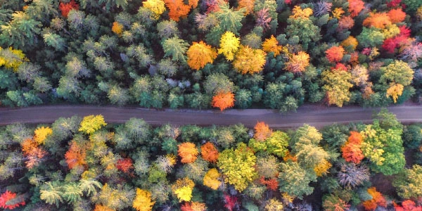 Celoroční pneu Akčnípneu.cz