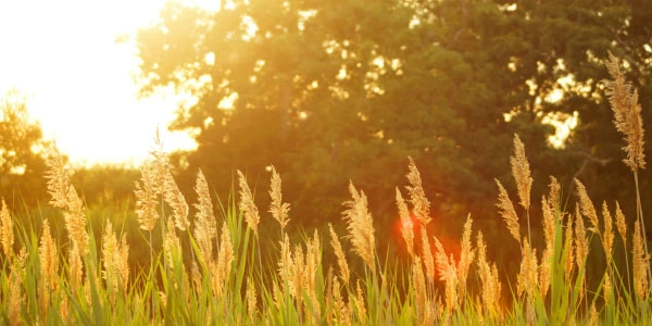 Letní pneu Akčnípneu.cz